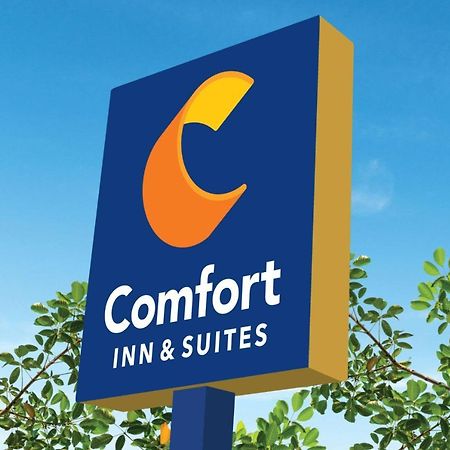Comfort Inn & Suites Техас-Сіті Екстер'єр фото